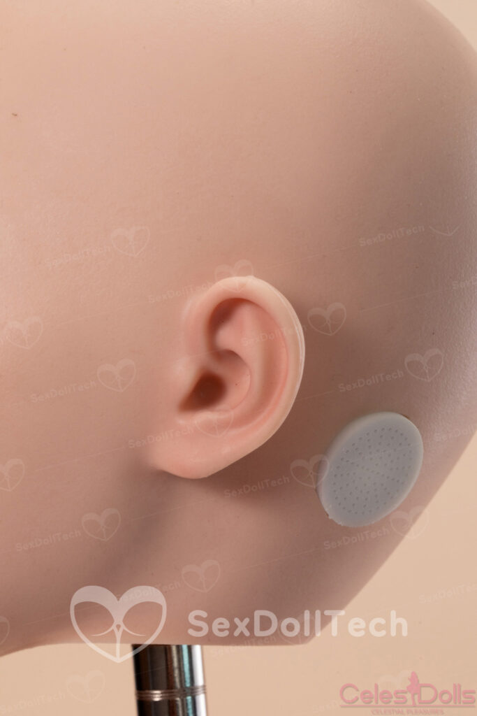 Astra Head Electronics 2