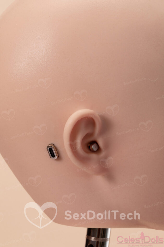 Astra Head Electronics