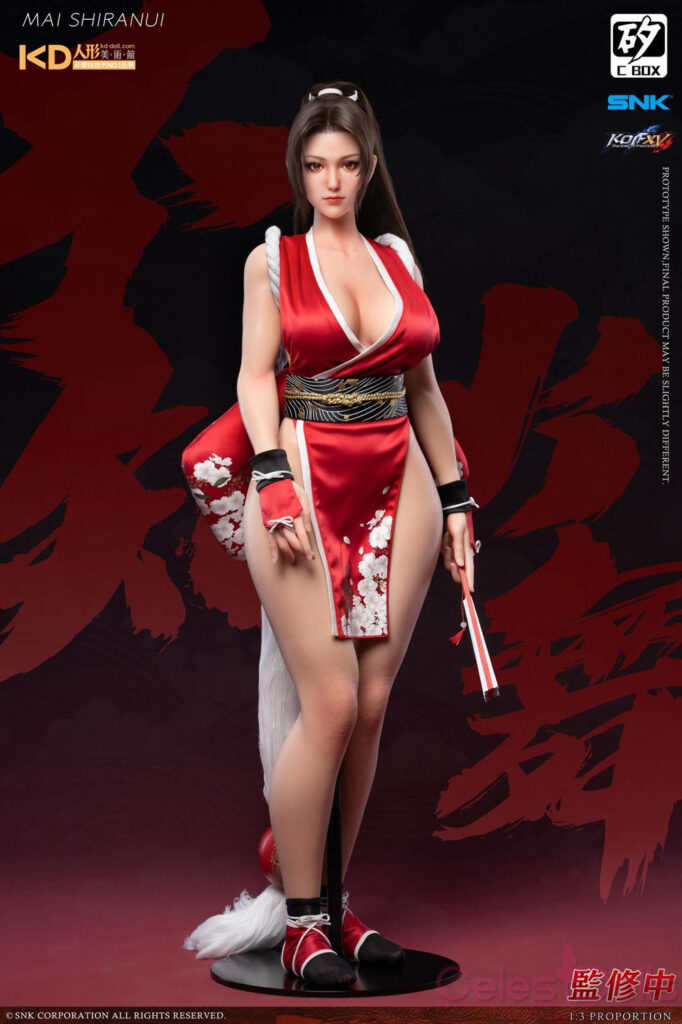 Dr Silicon C Box Mai Shiranui Figure 10