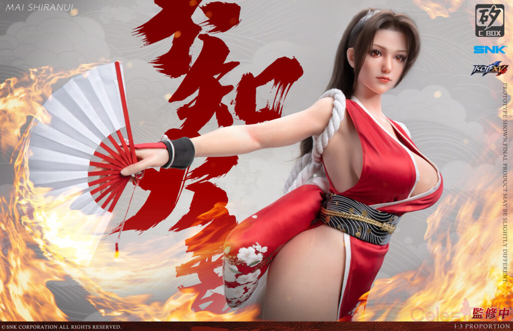 Dr Silicon C Box Mai Shiranui Figure 11