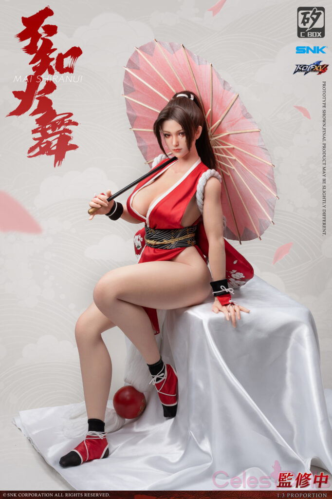 Dr Silicon C Box Mai Shiranui Figure 2