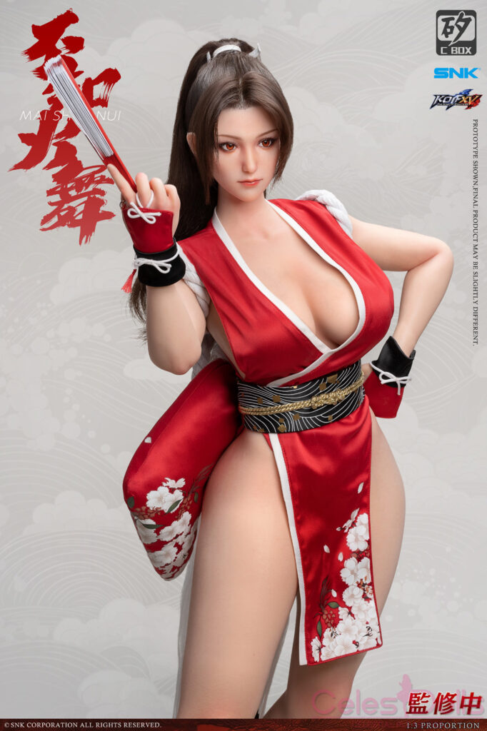 Dr Silicon C Box Mai Shiranui Figure 3