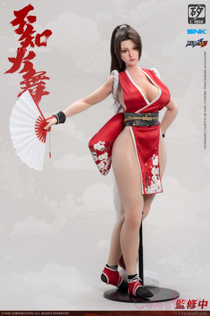 Dr Silicon C Box Mai Shiranui Figure 4