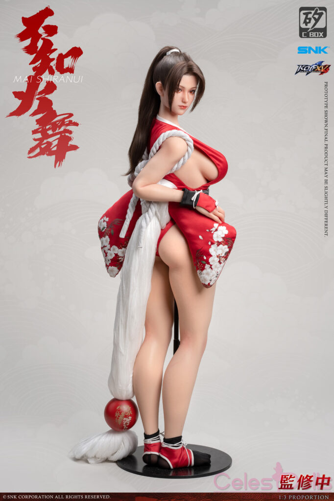 Dr Silicon C Box Mai Shiranui Figure 6
