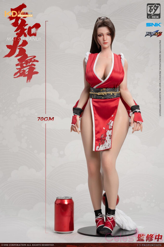 Dr Silicon C Box Mai Shiranui Figure 7