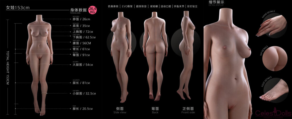 Firefly Diary Doll 153cm Body Specs