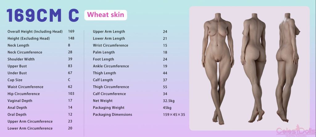 IDO Doll 169C Body Specs