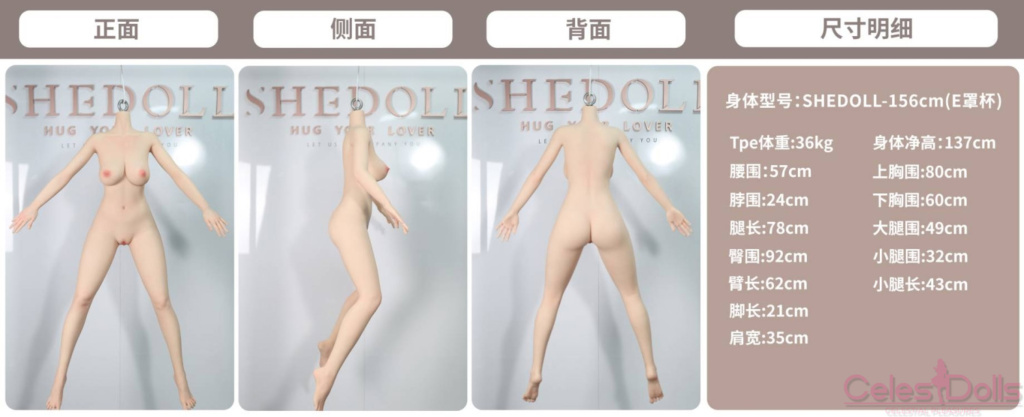 SHEDOLL TPE 156cm Body