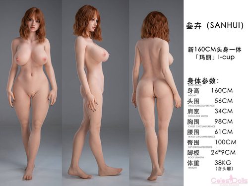 Sanhui Doll AIO 160I Specs