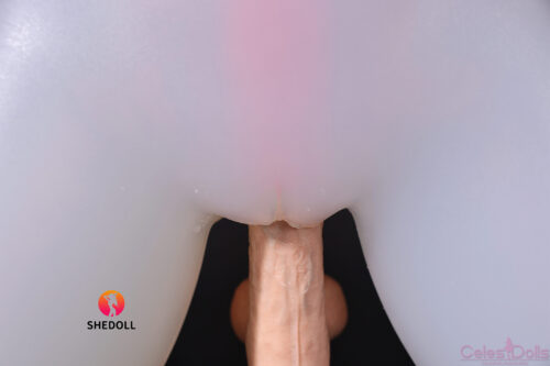 Shedoll Translucent Transparent Body (4)
