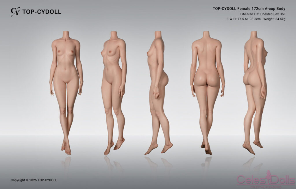 Top Cydoll Silicone 172A Body Specs