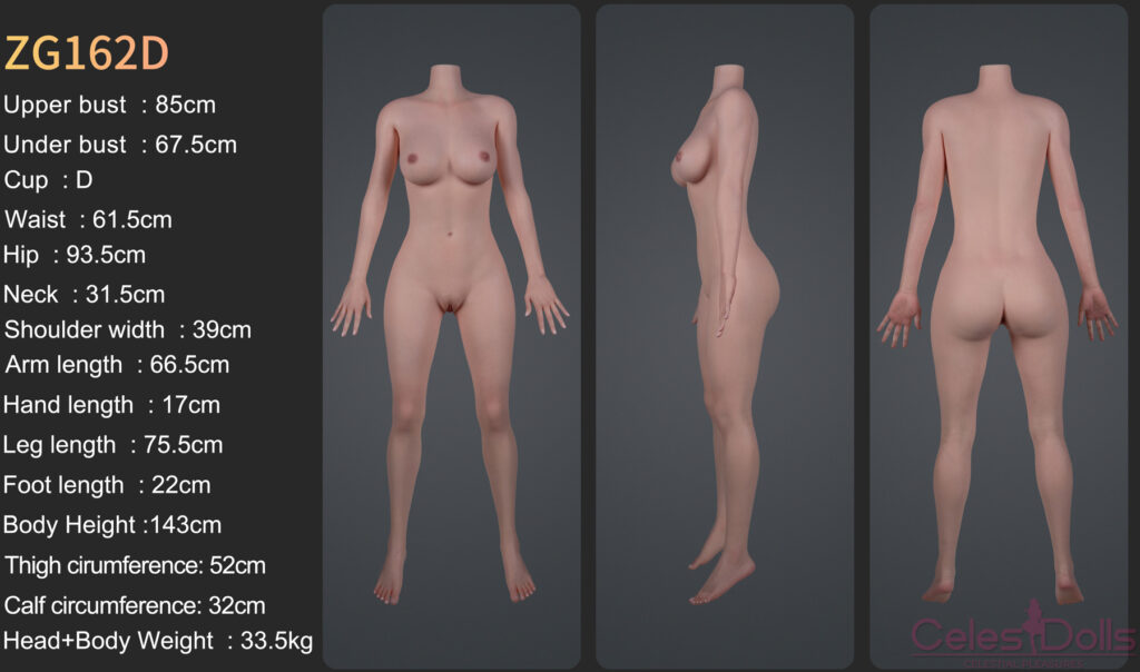 Zelex Doll ZG162D Body Specs