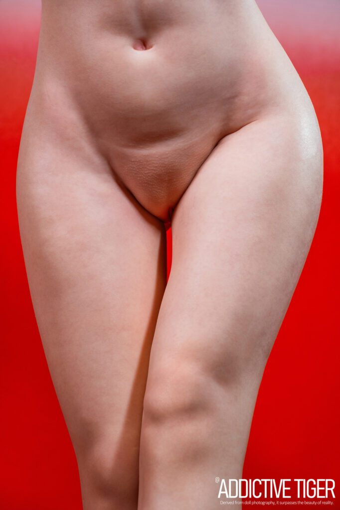 Zucki Bezlya Doll Ai Uehara Christmas 17